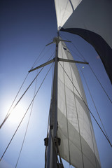 Obraz premium Sail, low angle view, lens flare
