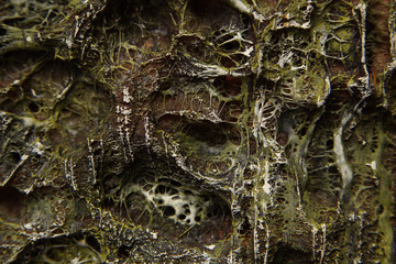 Dark green background