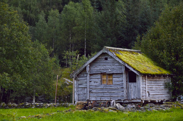 Shack House Cabin in the Woods with Moss Growing on Roof