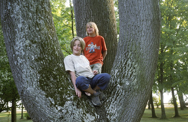 Two blonde Boys sitting on the Crotch of a Tree looking up - Youth - Astonishment - Nature