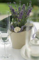 Champagne Glasses next to a Flower Pot with Lavender - Festivity - Decoration - Beverages