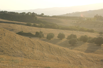 Rural landscape