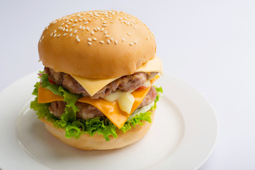 Delicious homemade hamburger