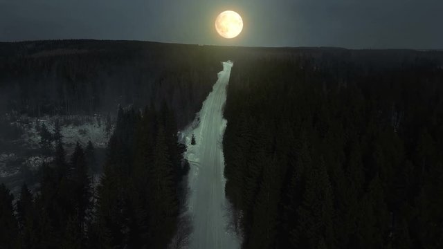 Mysterious forest in night time and fog. Bright full moon light and trees shadow. Aerial view