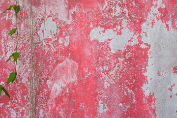 Background wall with old red.