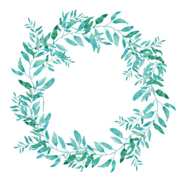 Olive wreath isolated on white background. Green tea tree leaves. © BooblGum