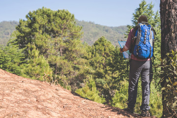 Young Traveler with map backpack relaxing outdoor with forest rocky mountain on background Summer vacations and Lifestyle hiking concept.