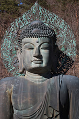 close-up face of ancient metal carving of sitting peace buddha in front of tree mountain and painted with green color at large historical temple at south korea