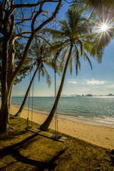 Obraz na płótnie Canvas Swing hang from coconut tree over beach. Vacation concept