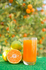 Orange Juice