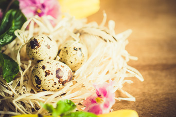 Obraz premium Easter Composition of eggs and spring flowers.