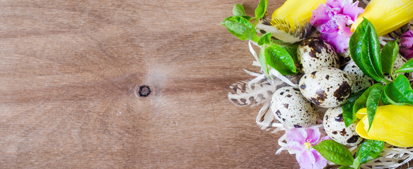 Easter Composition of eggs and spring flowers.