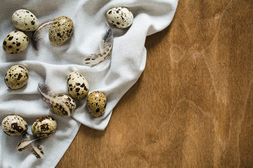 Fresh Organic Quail Eggs on Wooden Table.