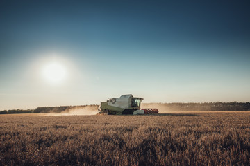 Combine harvester agriculture machine harvesting golden ripe wheat field