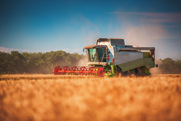 Obraz premium Combine harvester agriculture machine harvesting golden ripe wheat field