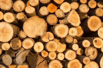 Pile of chopped wood for fireplace