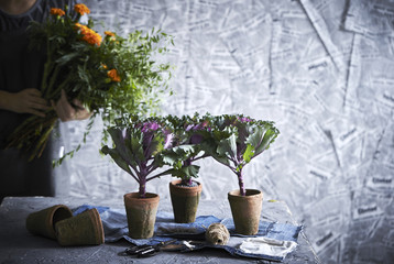 Flowers