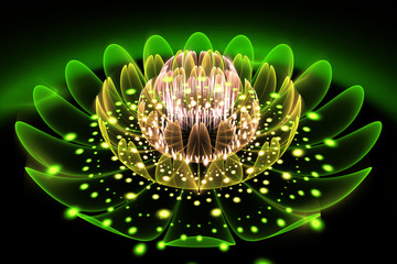 Obrazy na Szkle  Streszczenie egzotyczny kwiat ze świecącymi iskierkami na czarnym tle. Fraktal fantasy w kolorach zielonym, żółtym i beżowym. Psychodeliczna sztuka cyfrowa. Renderowanie 3D.