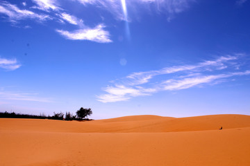 Fototapeta na wymiar Sand dunes vietnam mui ne 