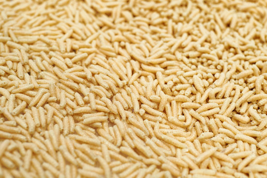 Maggot worm bait for fishing