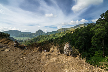 Fototapeta na wymiar Road to Mount. Rinjani, the mountain is in the Regency of North Lombok, West Nusa Tenggara and rises to 3,726 metres (12,224 ft), making it the second highest volcano in Indonesia.