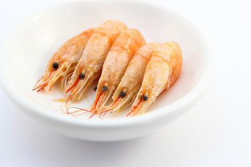 Shrimp 2