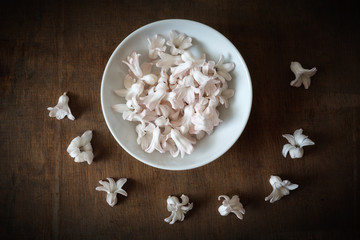 Frühlingsblüten und Schale auf braunem Holz