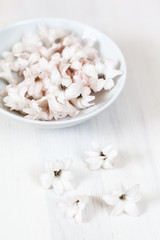 Frühlingsblüten und Schale auf weißem Holz