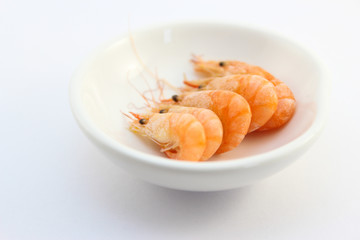 Shrimp 5