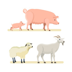 Cute funny sheep, goat, pink pig isolated on white background.