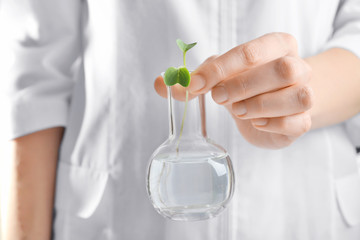 Female hand holding bottle with plant