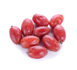 Elaeagnus latifolia fruits isolated on white background
