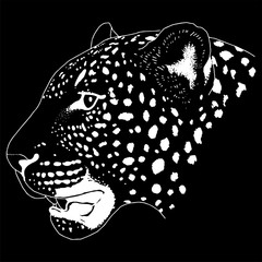 Leopard face tattoo ,Vector illustration, print