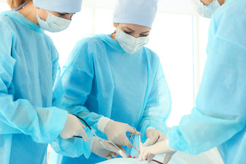 Young doctors operating patient in clinic