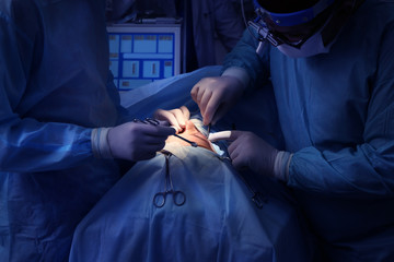Operating of patient in modern hospital