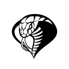 Fototapeta premium Wściekła kobra sport mono wektor koncepcja logo na białym tle. Najwyższej jakości koszulka z nadrukiem dzikiego węża.