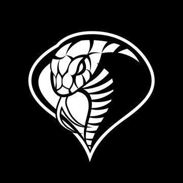 Furious cobra sport mono vector logo concept isolated on dark background. Modern military professional team badge design.
Premium quality wild snake t-shirt tee print illustration.