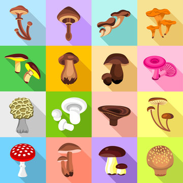 Mushroom Icons Set, Flat Style