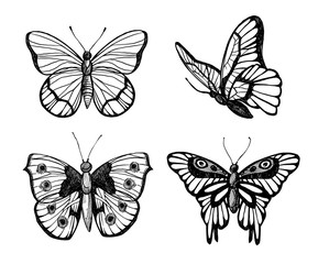 Obraz na płótnie Canvas Hand drawn vector illustration - Butterflies collection. Summer edition. Perfect for invitations, greeting cards, blogs, posters and more.