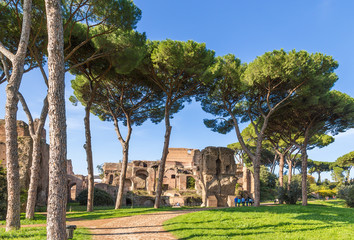 Fototapeta na wymiar Rome, Italy. The ruins of the Septimius Severus Thermae in the picturesque park on Palatine Hill