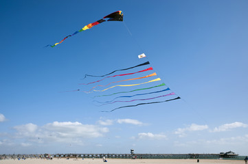 Huge Kites, Seal Beach, California