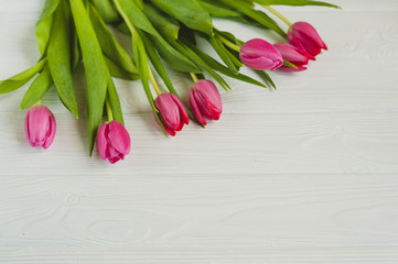 Pink tulips on a white wooden table. background