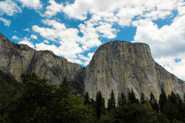 Naklejka premium Yosemite National Park, California, USA