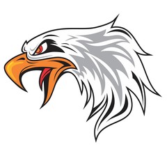 hand drawing EAGLE HEAD MASCOT