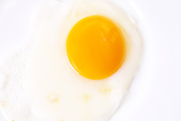 Fried egg in the pan