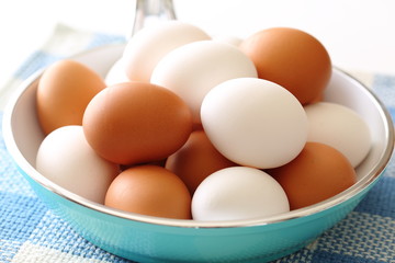 鶏卵　egg