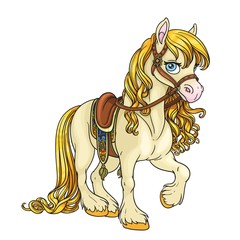 Cute horse with golden mane harnessed to a saddle isolated on white background