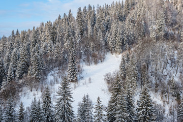 Carpathian winter landscape, Ukraine