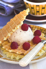 Ice cream with waffles, raspberry and coffee