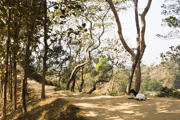 View over Maheskhali Island, near Cox's Bazar in Bangladesh
